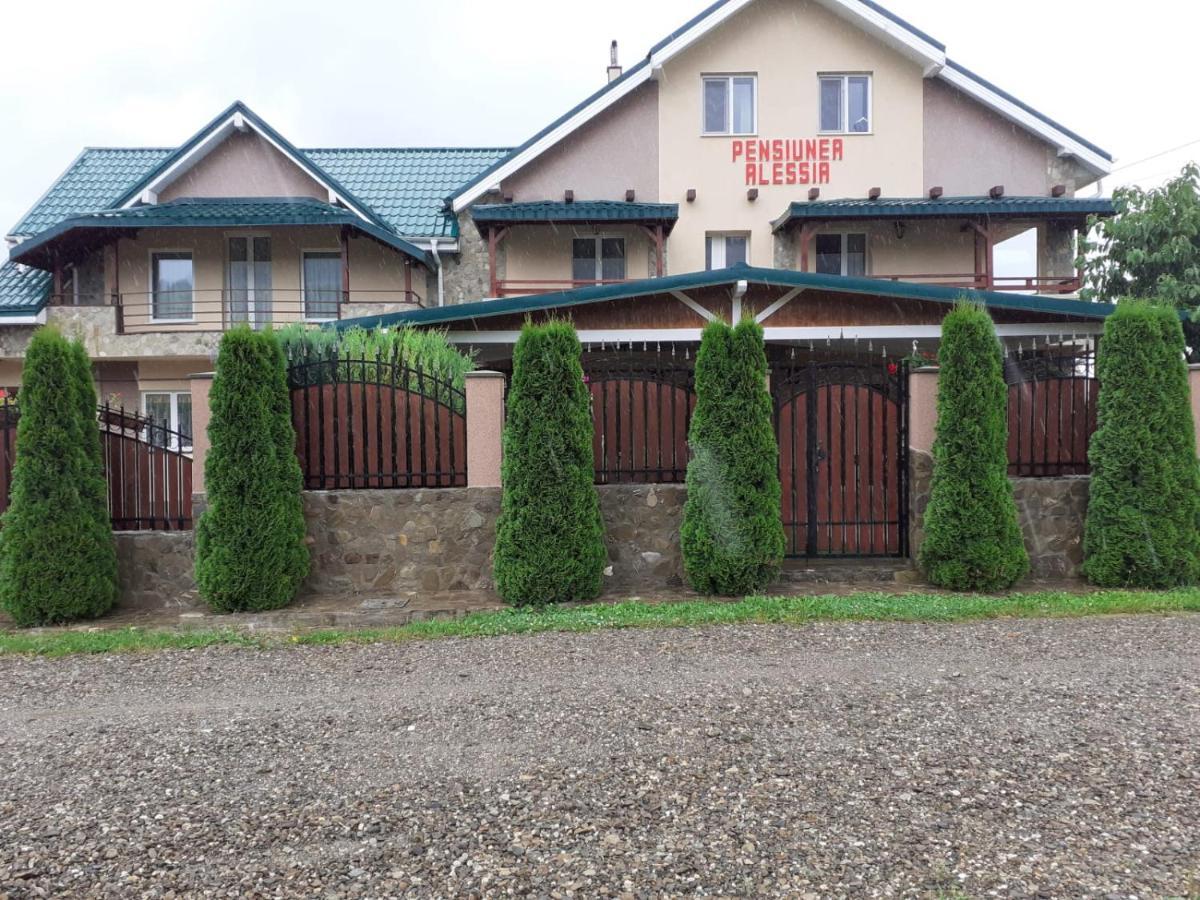 Pensiunea Alessia Piatra Neamt Exterior photo